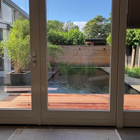 Panzió The Little White House